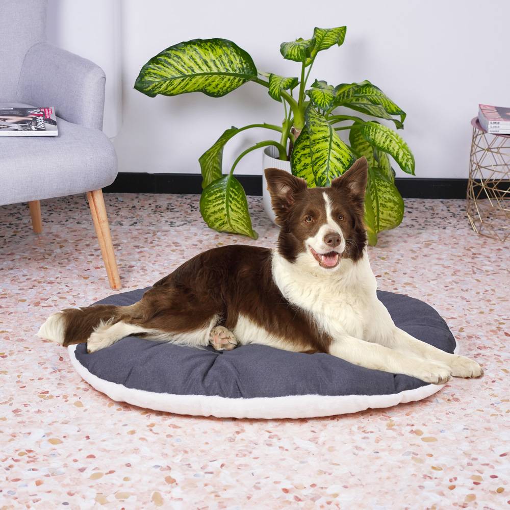 Ferplast - FERPLAST Panier Chien Chat - Coussin pour Chien Chat - Lavable en Machine - Tapis Chien Chat pour Niches et Voitures - Lit pour Chien Chat  - Relax, - Image 4