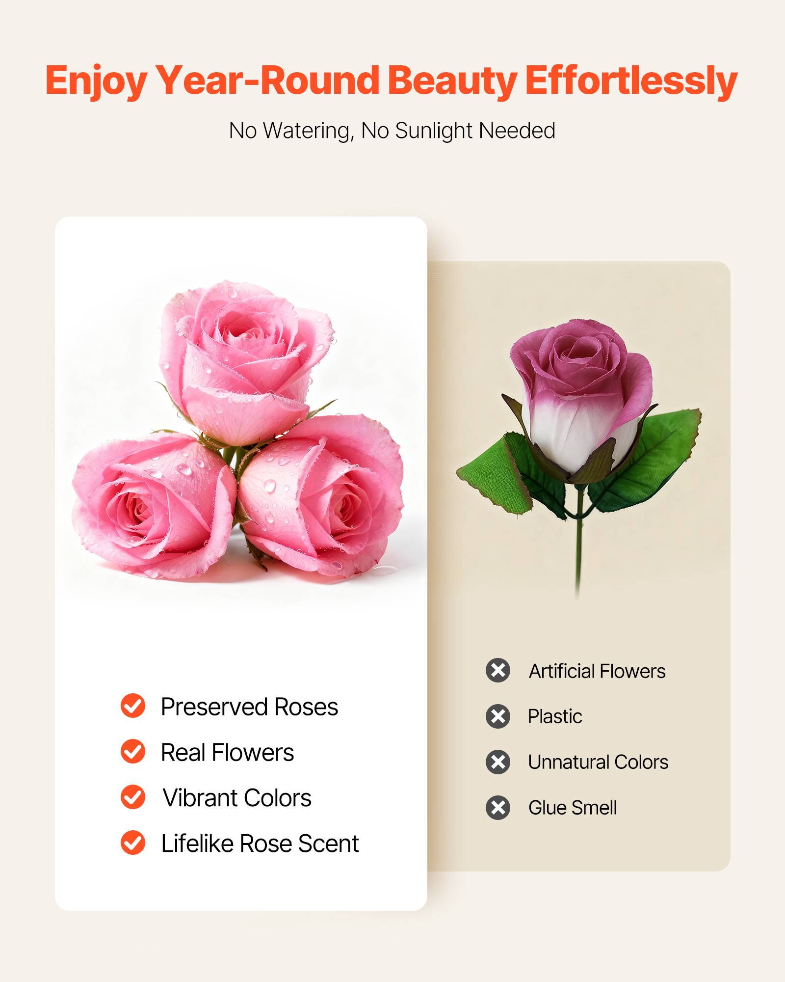 Vevor - VEVOR Rose Éternelle Fleurs Éternelles Préservées 50 PCS Boîte Ronde Rose Doux - Image 4