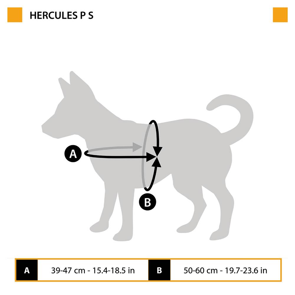 Ferplast - Harnais pour Chiens HERCULES SMALL, Rembourré, Résistant, Anti-griffures, Visible dans l'Obscurité, avec Poignée - Image 2