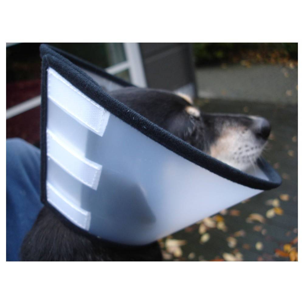 Flamingo - Collerette de protection Capo S 23 cm pour chien - Flamingo - Image 7
