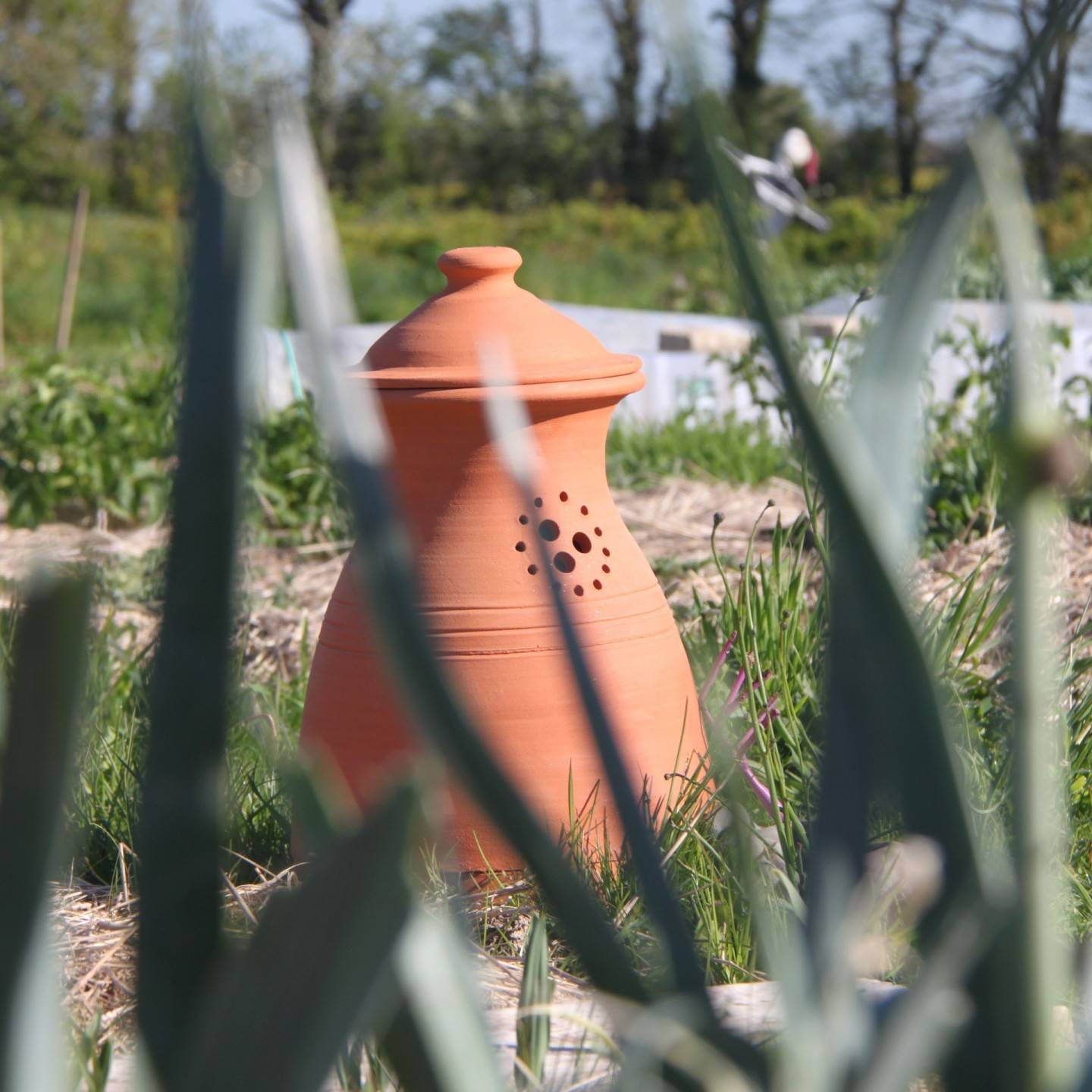 Ollas Lutton - Le Pure Garden : Le Composteur Écologique et Pratique pour Votre Jardin - Image 5