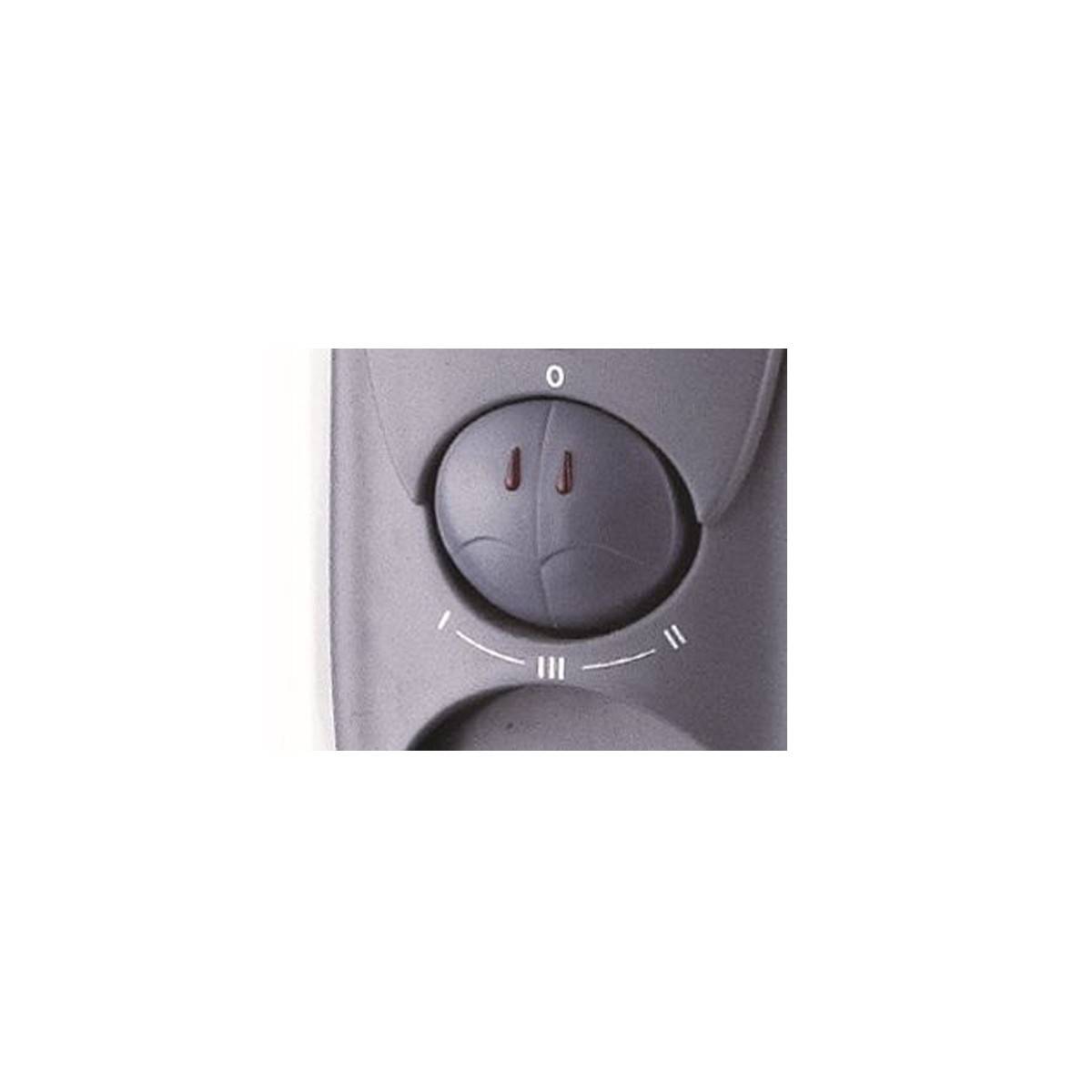 Radiateur bain d'huile 1500W 3 puissances de chauffe - Thermostat - Corps metal verni NIKLAS - Image 4