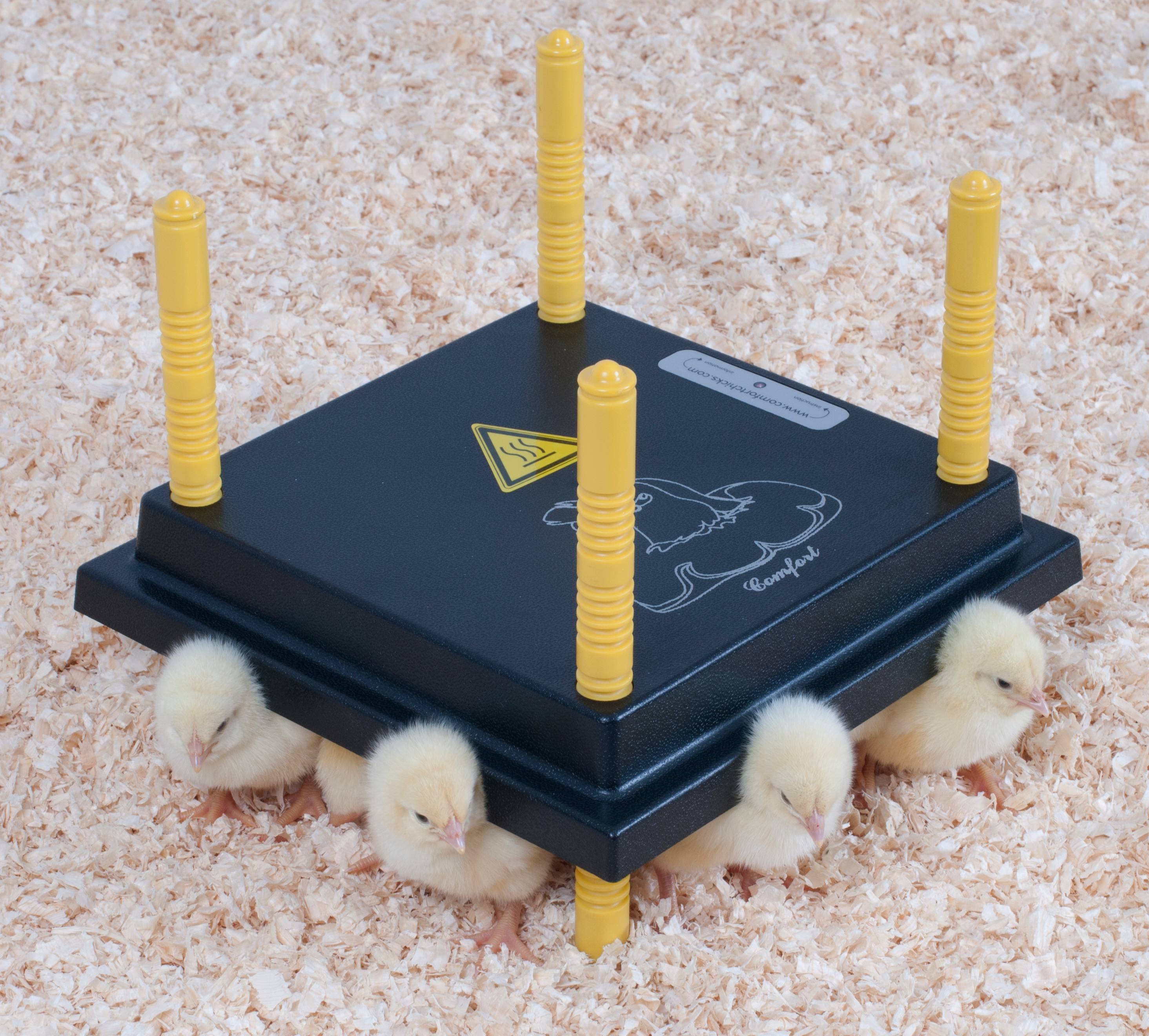 Chick'a - Panneau chauffant, 25x25 cm, pour poussin
