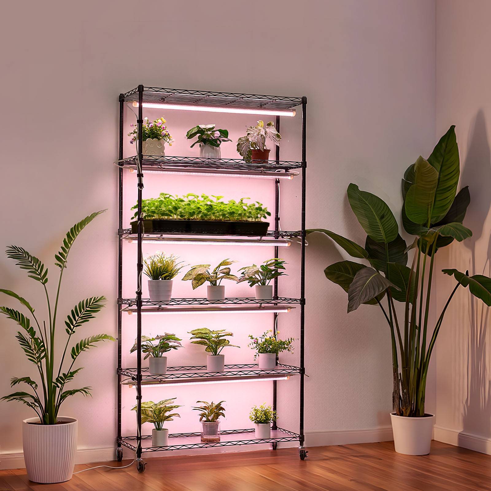 Vevor - VEVOR Support plantes intérieur 6 niveaux 180 cm, LED 150 W spectre complet 3800K, minuterie 24 h, roulettes pivotantes, étagères réglables. - Image 8