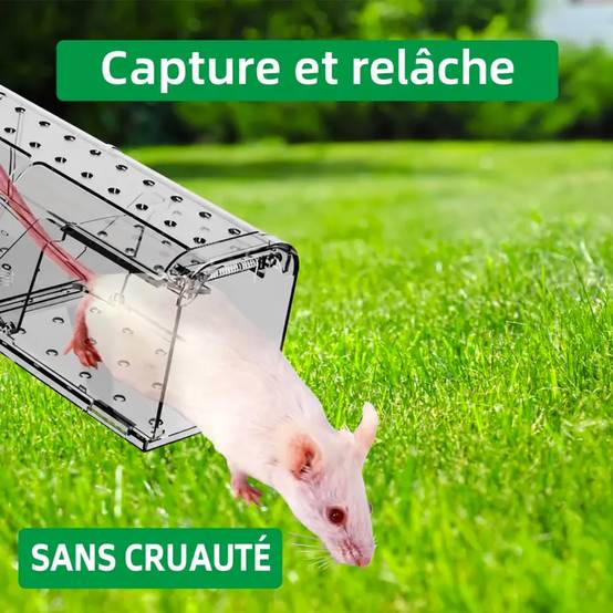 Lot de 2 cages à souris en plastique résistantes avec aération - Image 9