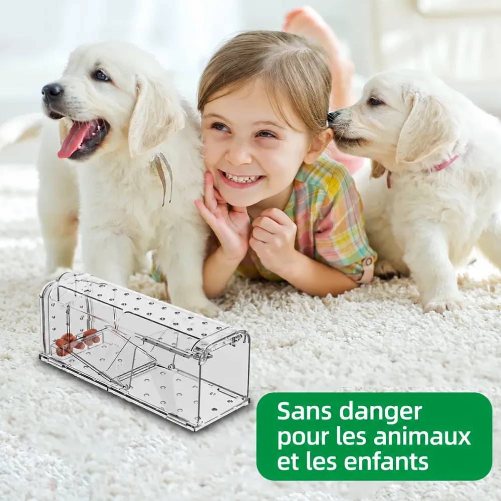 Lot de 2 cages à souris en plastique résistantes avec aération - Image 8