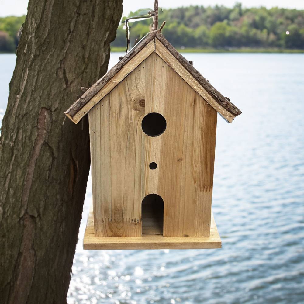 Dare Win Store - Nichoir pour oiseaux - Image 3