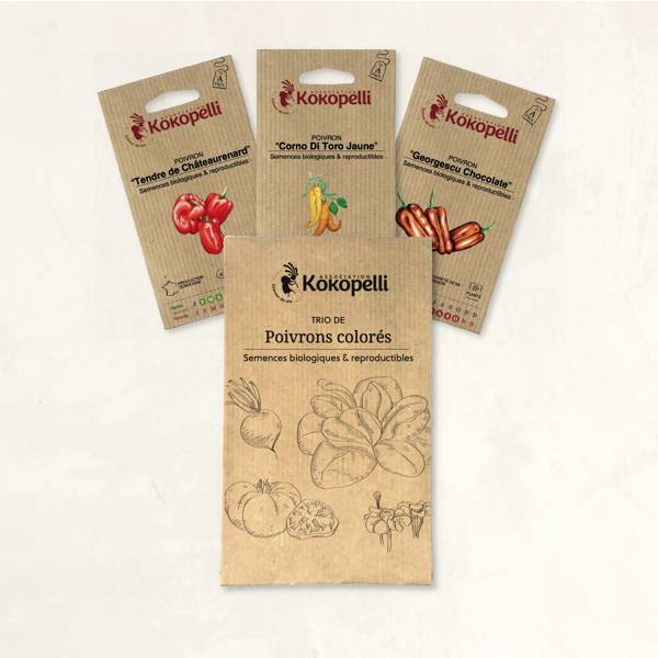 Poivrons colorés - 3 sachets de graines bio à semer - Image 2