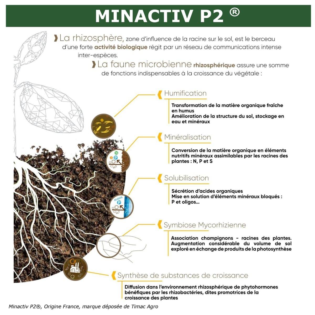 SOLU’CONTROL - 2 kg de Minactiv P2® – Engrais phosphate naturel – Avec Calcimer® marin et stimulateur microbien – Racines solides, gazon dense - Image 6