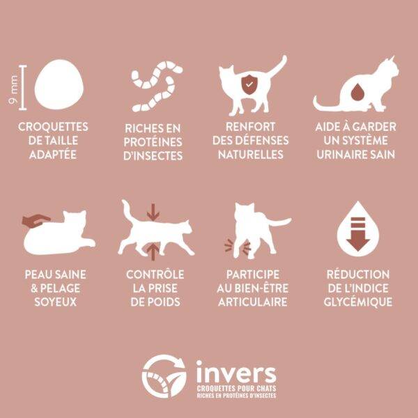 Échantillon croquettes aux insectes pour chat sénior 200g - Invers - Image 2