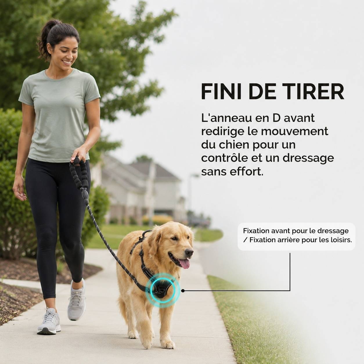 Harnais Chien Réglable Réfléchissant Confortable Anti Traction Respirant - Image 7