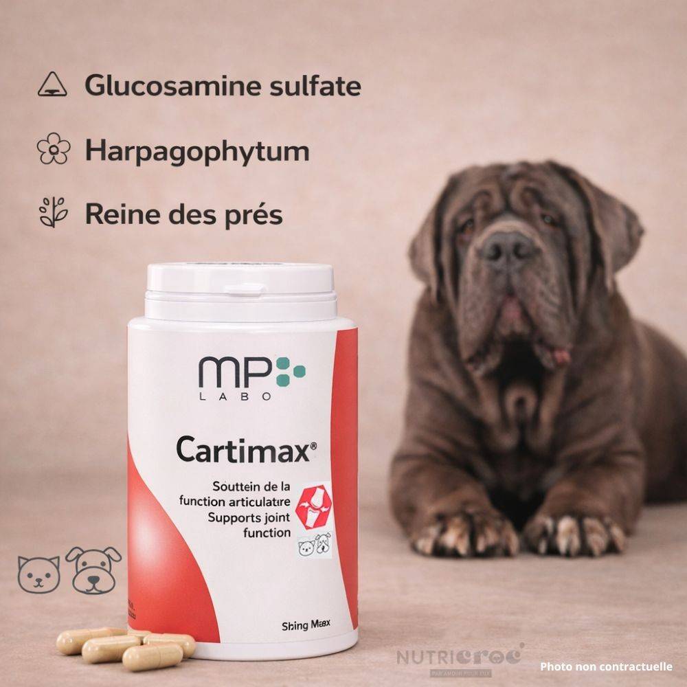 Cartimax MP Labo – Articulations chien & chat gélules 300 gelules - Image 2