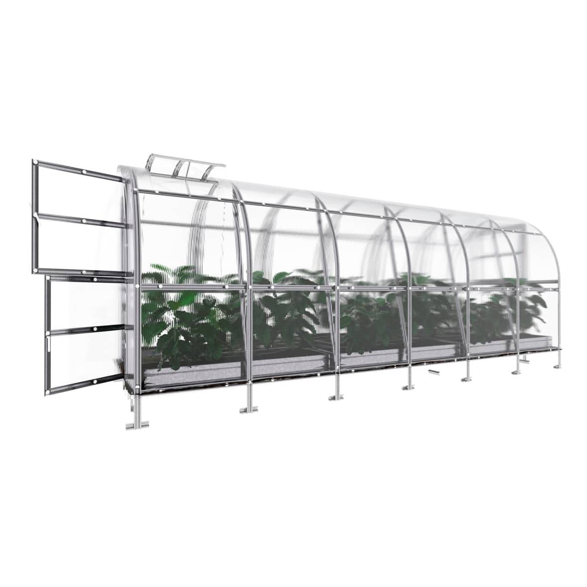 KLASIKA GREENHOUSES - Serre KLASIKA SLIM 2 x 6 m (12 m²) , 4 mm avec revêtement en polycarbonate - Image 5