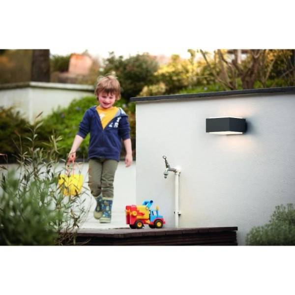 Philips - Applique murale Philips myGarden Hedgehog - Anthracite - 1x42W - LED - Extérieur - Image 3