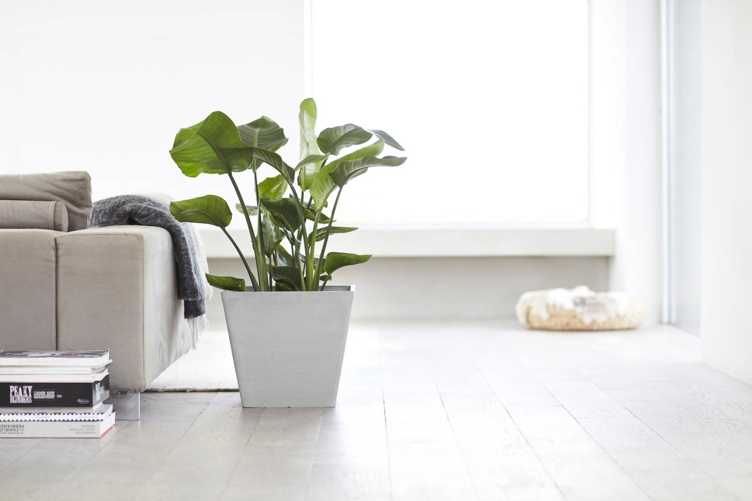 Ecopots - Pot Carré Rotterdam 40 Blanc Gris - 40 x 40 x H. 35 cm - 37,6 L ECOPOTS - Image 3