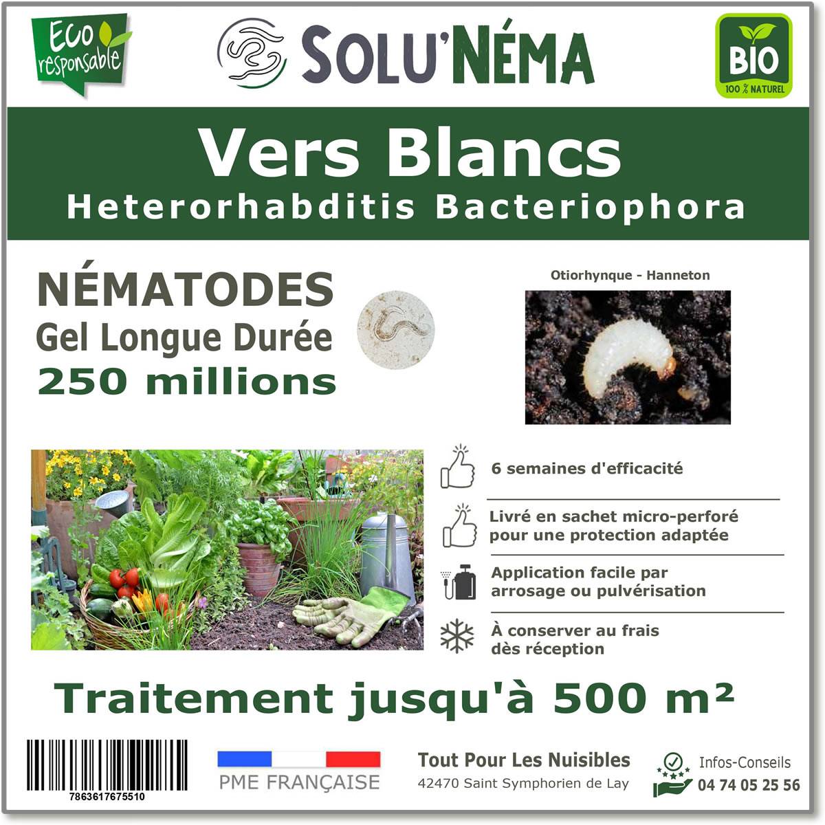 Tout pour les nuisibles - Solunéma - Vers Blancs - Traitement à base de nématodes Heterorhabditis Bacteriophora (HB) - 250 millions pour environ 500 m² - Image 1