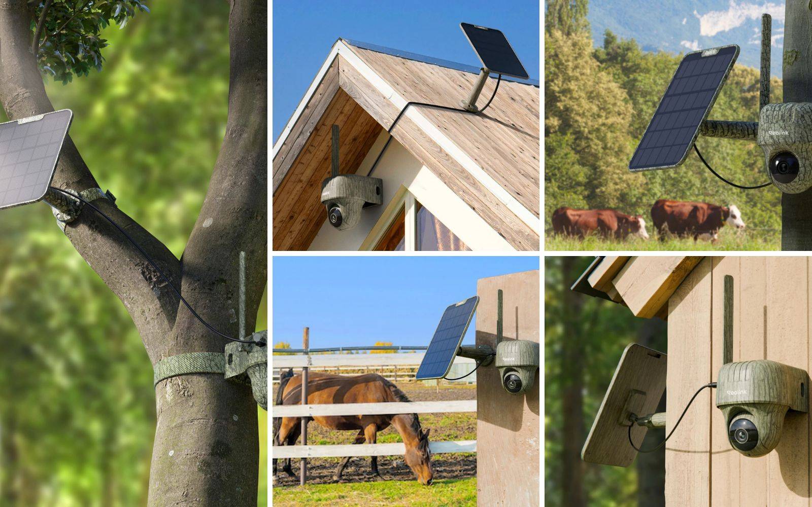 Reolink Go G450 - Caméra 4G Sans Fil 360 avec Vision Nocturne - avec panneau solaire autonome - Image 3