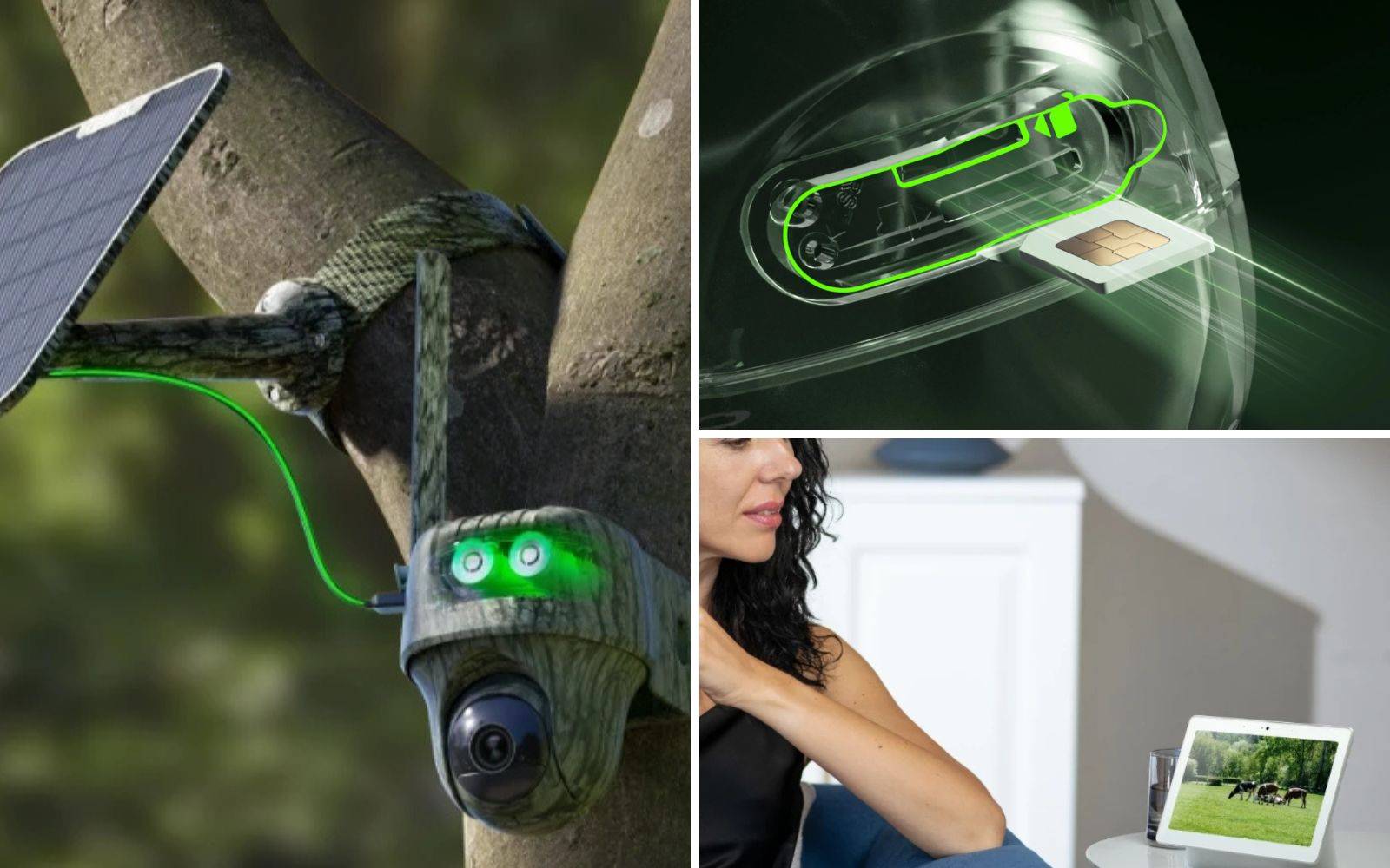 Reolink Go G450 - Caméra 4G Sans Fil 360 avec Vision Nocturne - avec panneau solaire autonome - Image 2