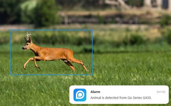 Reolink Go G450 - Caméra 4G Sans Fil 360 avec Vision Nocturne - avec panneau solaire autonome - Image 5