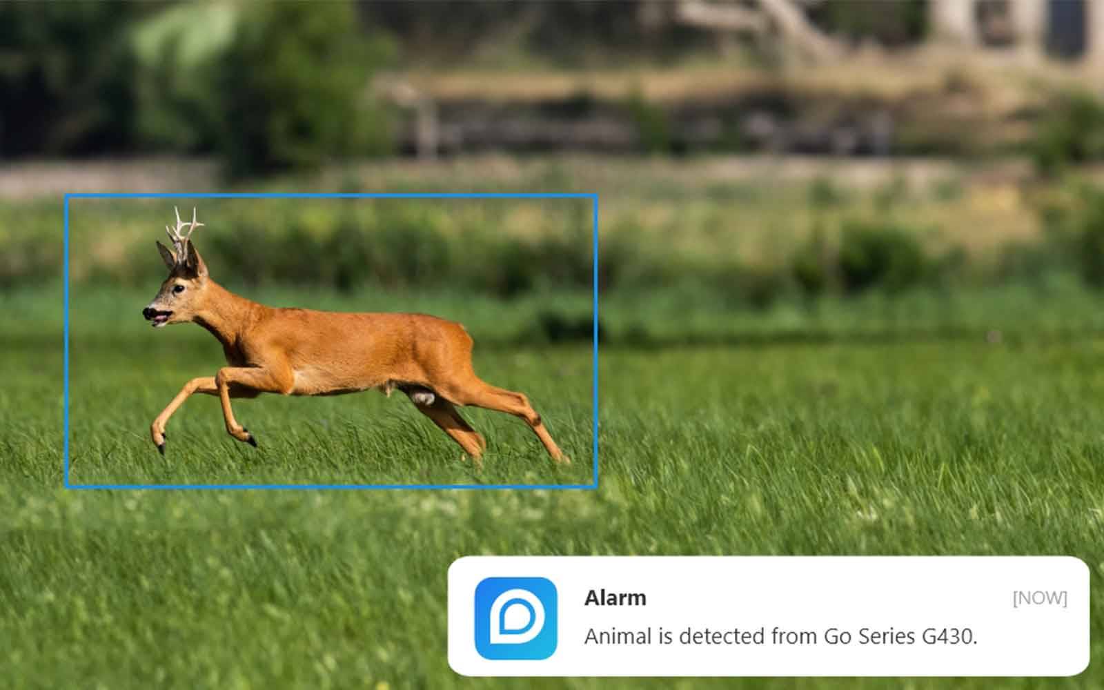 Reolink Go G450 - Caméra 4G Sans Fil 360 avec Vision Nocturne - avec panneau solaire autonome - Image 5