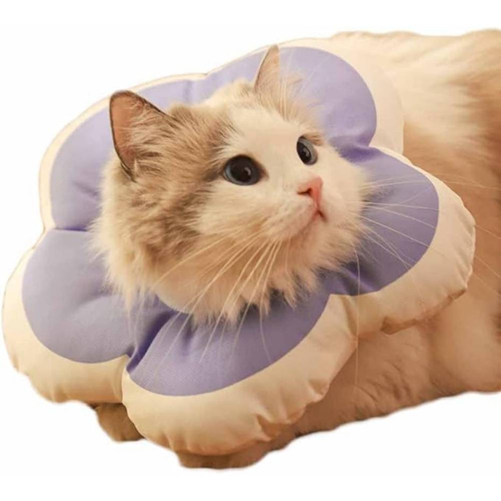 Collier Anti - Morsure Réglable Doux Léger Pour Chats Violet XS - Image 2