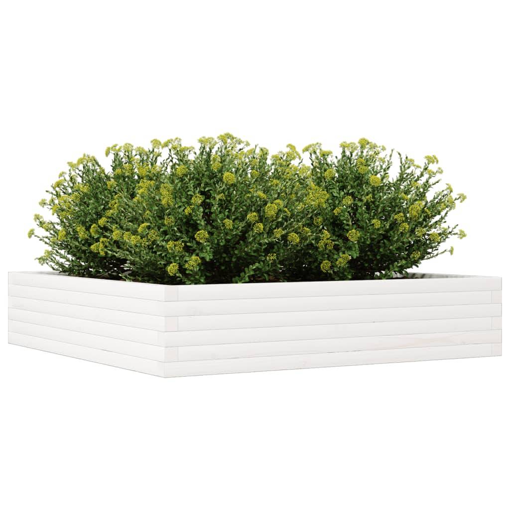 Vidaxl - Jardinière-Pot de fleur-Bac à fleurs blanc 110x110x23 cm bois de pin massif - Image 8