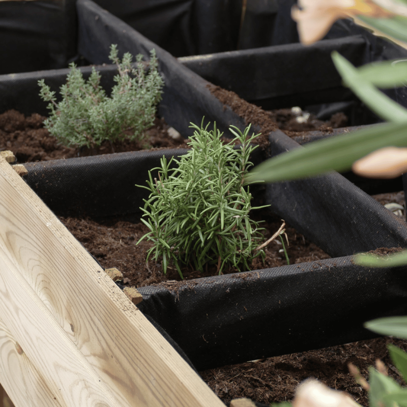 Jardipolys - Carré potager surélevé GARIGUETTE - 135L Jardipolys - Image 3