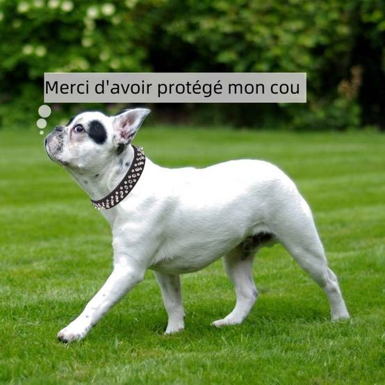 Muselière en cuir pour chien s - IntiMeg - Image 4