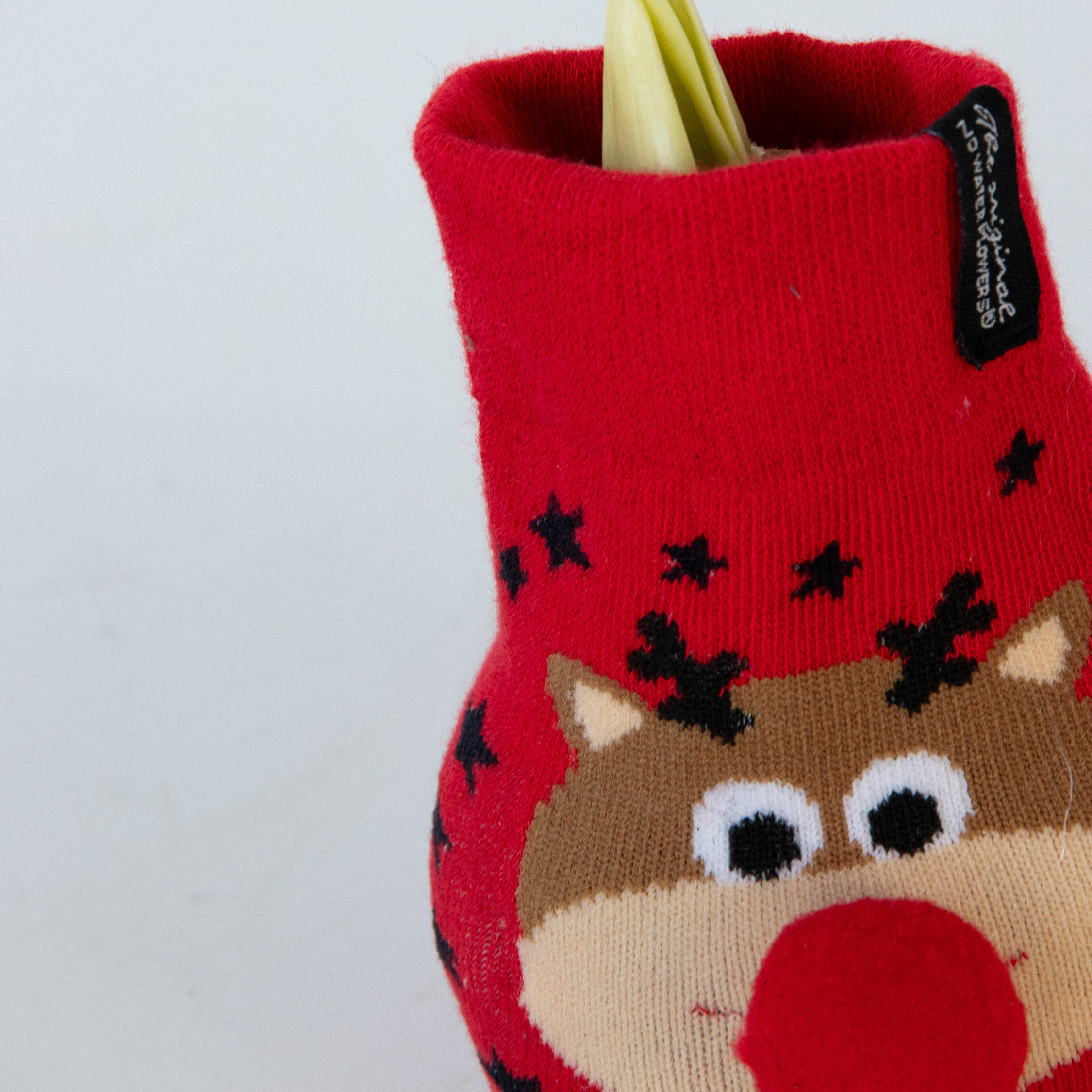Plant In A Box - Amaryllis - Set de 3 - Hippeastrum 'Xmas Sweater Mix' - Bulbe de fleur - Rouge - Image 4