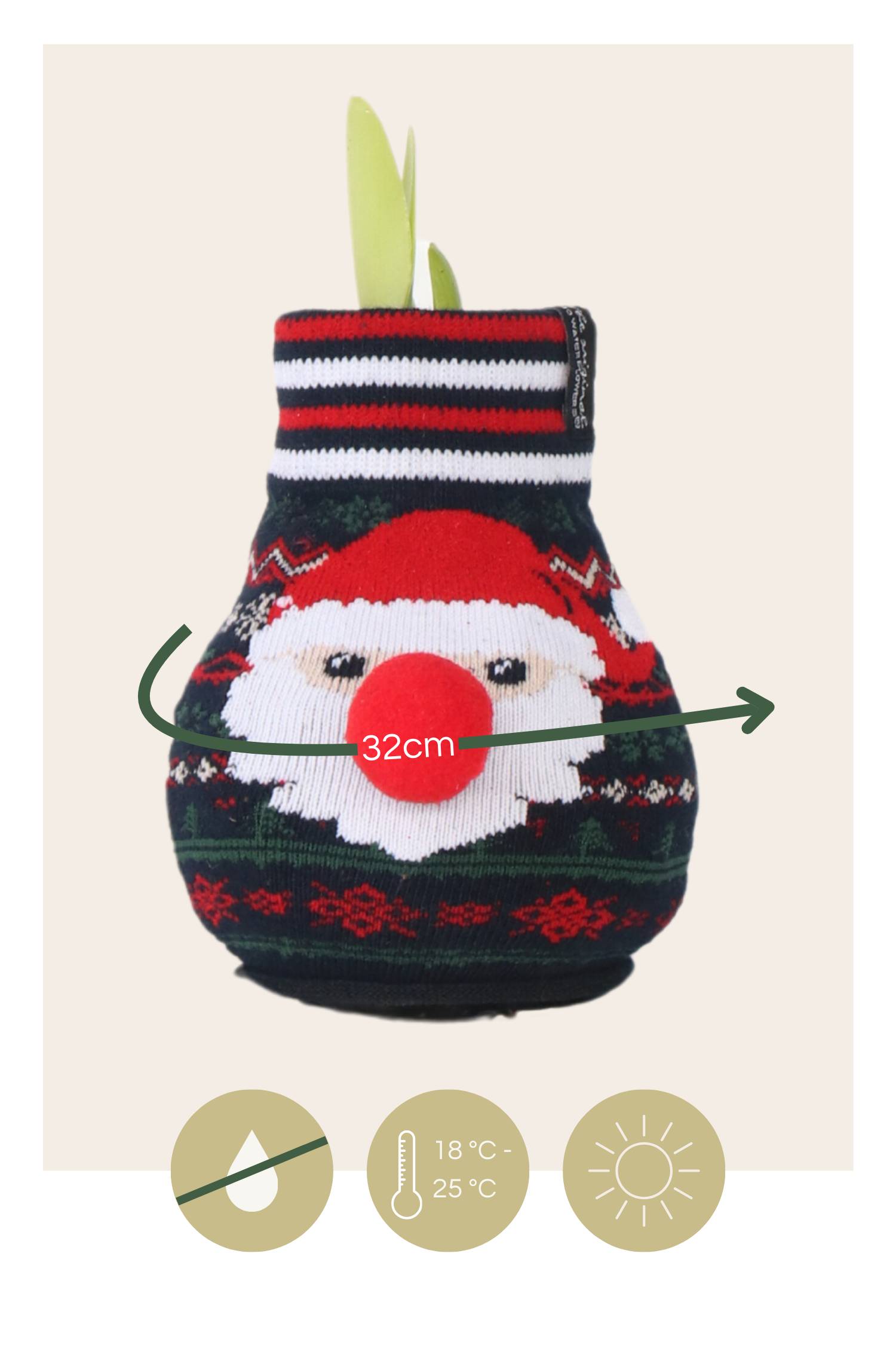 Plant In A Box - Amaryllis - Set de 3 - Hippeastrum 'Xmas Sweater Mix' - Bulbe de fleur - Rouge - Image 6