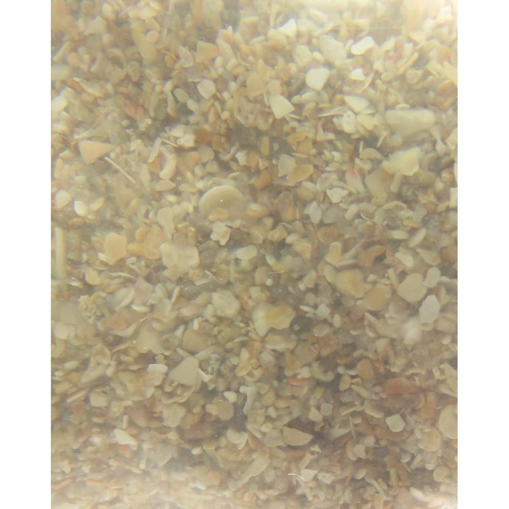 Coquilles d'huîtres brun krusta 25 kg pour oiseaux - Image 2