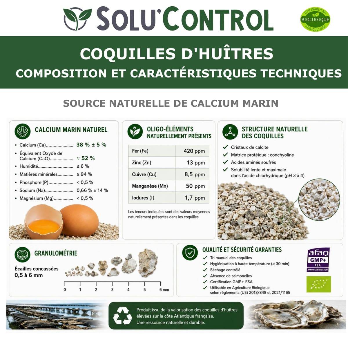 5 kg Écailles de Coquilles d'Huîtres pour Volailles (Poules, oies, ...) - SOLU'CONTROL - Aliment Minéral- 38% Calcium - Image 2