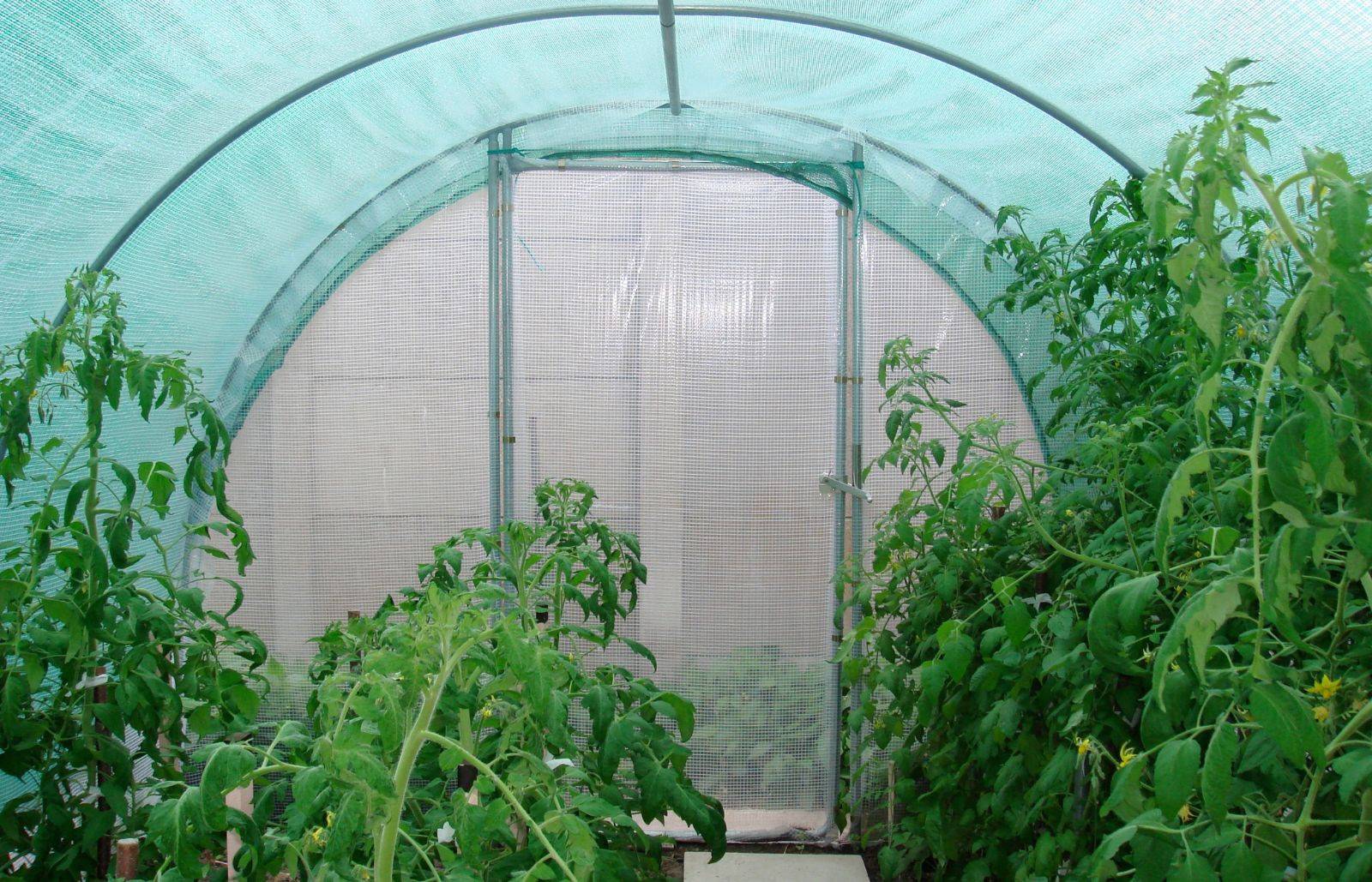Filet d'ombrage pour serre tunnel de jardin - 3 à 4 m de large - longueur 12 m - LES SERRES TONNEAU - Image 4