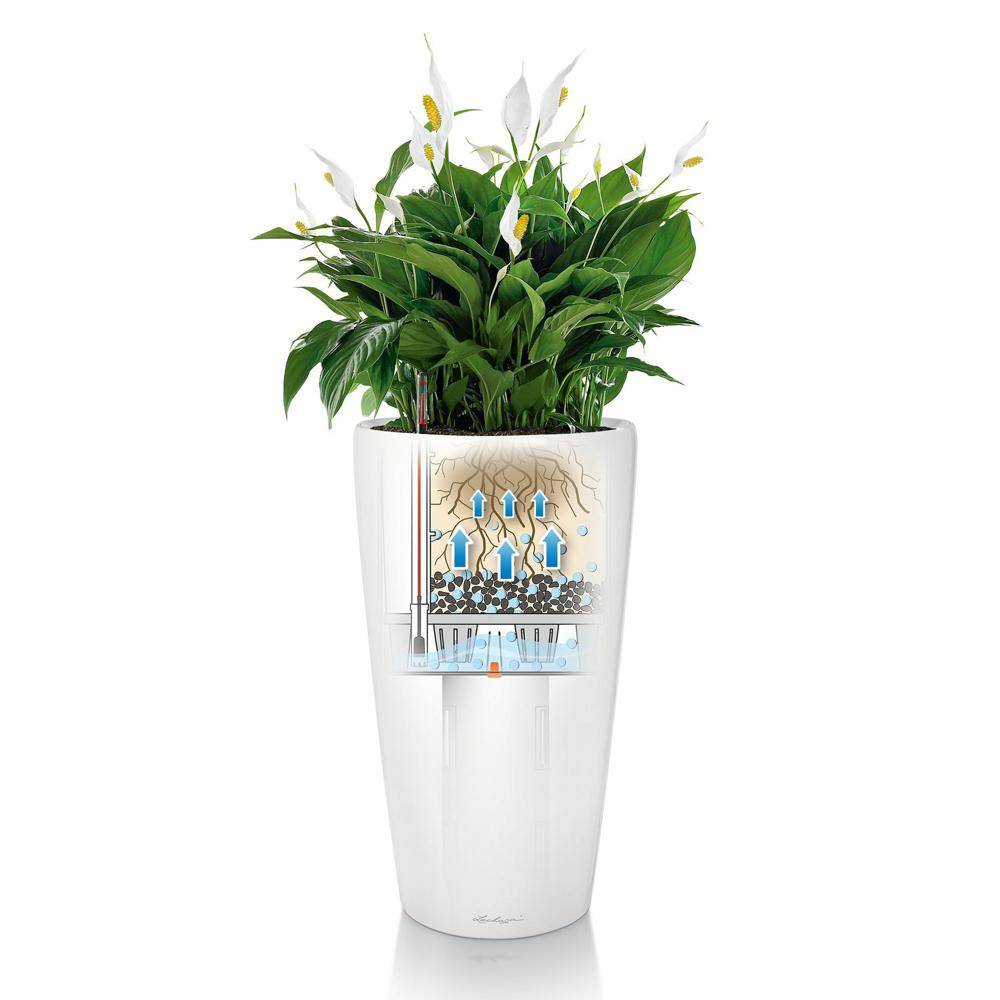 Lechuza - Pot Rondo Premium 32 - kit complet, blanc brillant Ø 32 cm Lechuza - Image 5