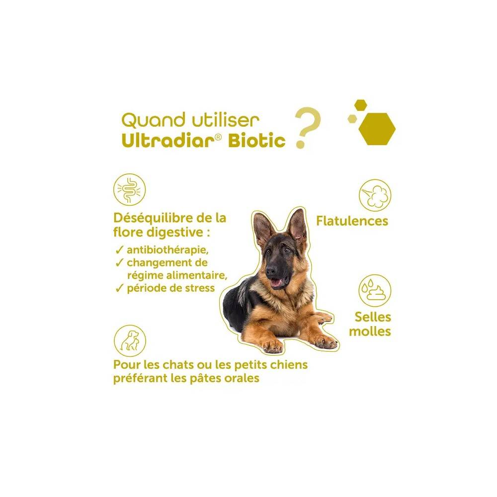 Pack Digestion & Assimilation Chien et Chat - Pancréatine + Ultradiar Biotic - MP Labo 1 pack - Image 7
