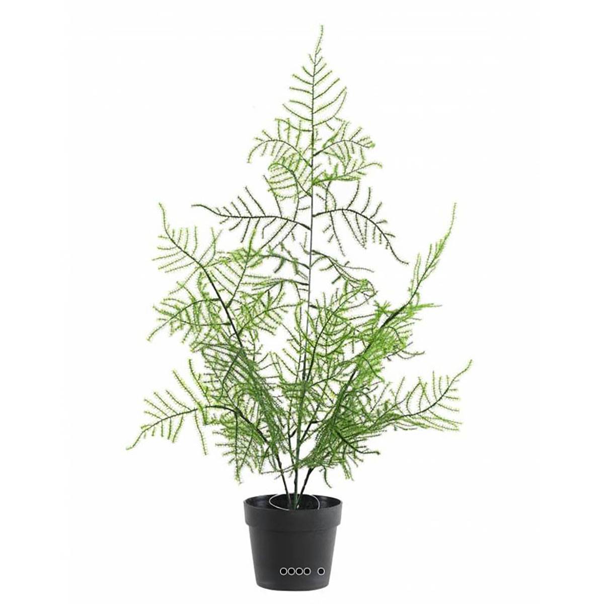 Artificielles - Asparagus artificiel en pot pour extérieur H 50 cm - Image 1