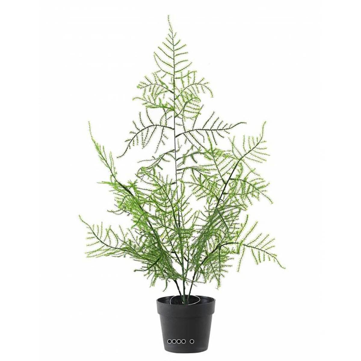 Artificielles - Asparagus artificiel en pot pour extérieur H 50 cm - Image 2