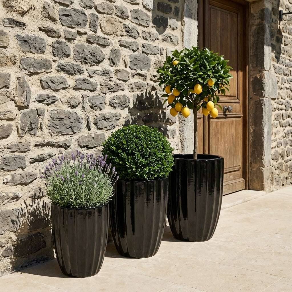 Pot HUGO 36x50cm noir - Image 4