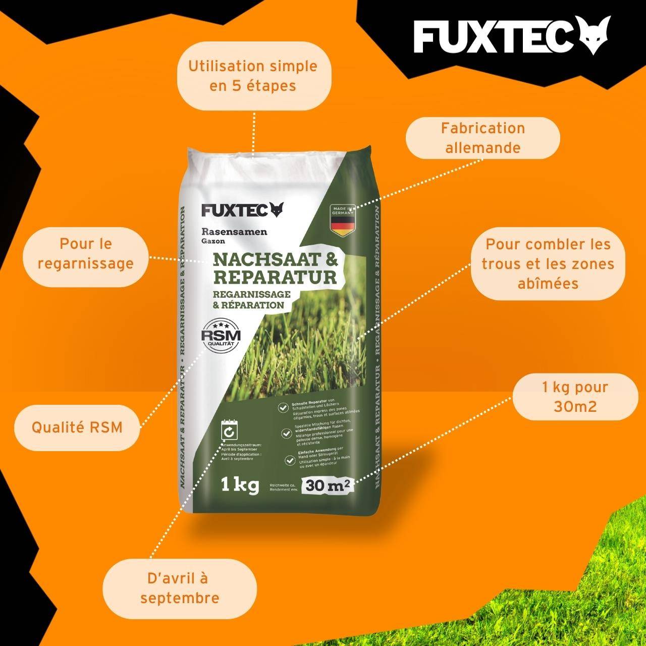 Semences de gazon FUXTEC FX-RSNR1 – sursemis et réparation 1kg/30m² – germination rapide – mélange robuste soleil ombre - Image 7