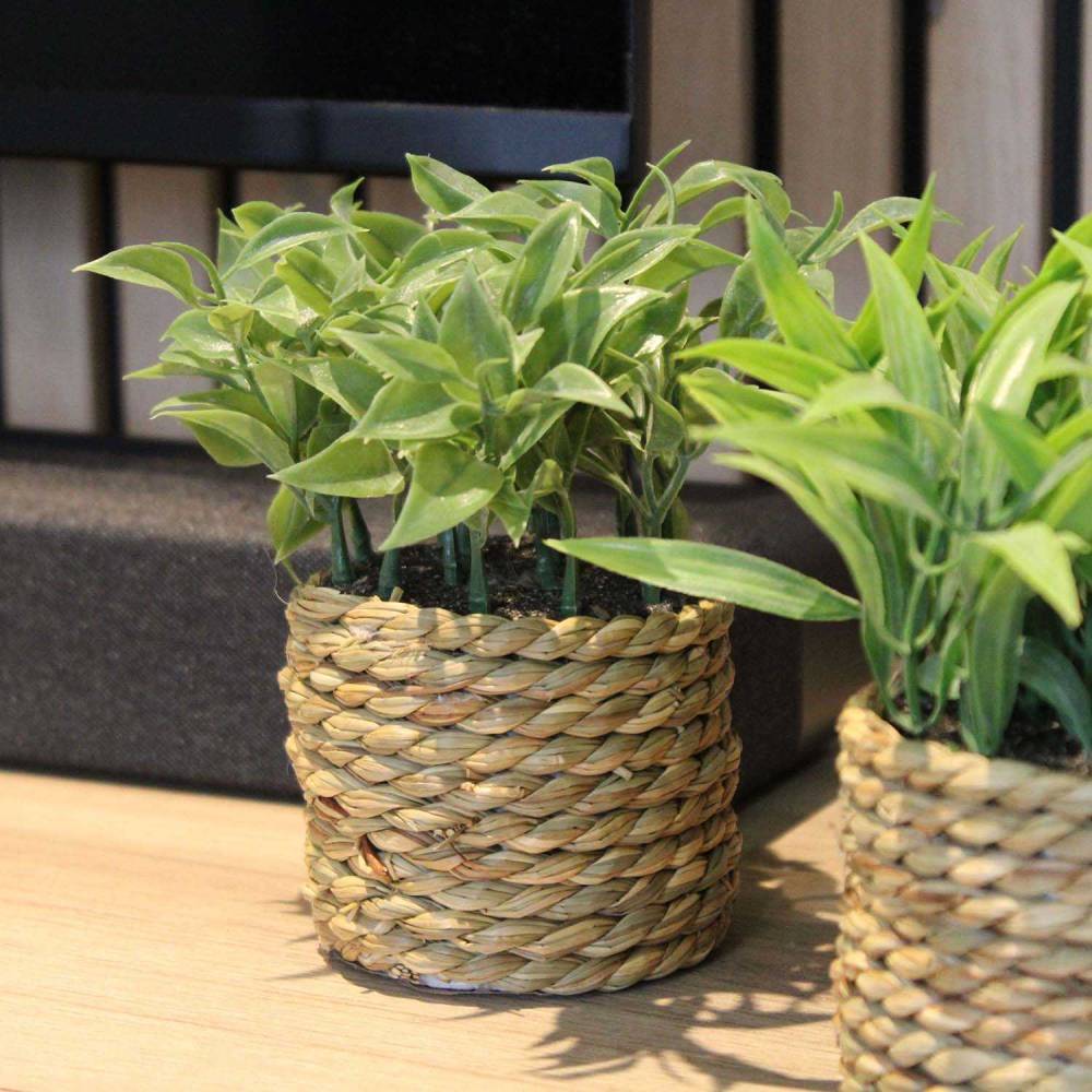Sil - Plante artificielle avec pot tressé (Lot de 3) - Image 4