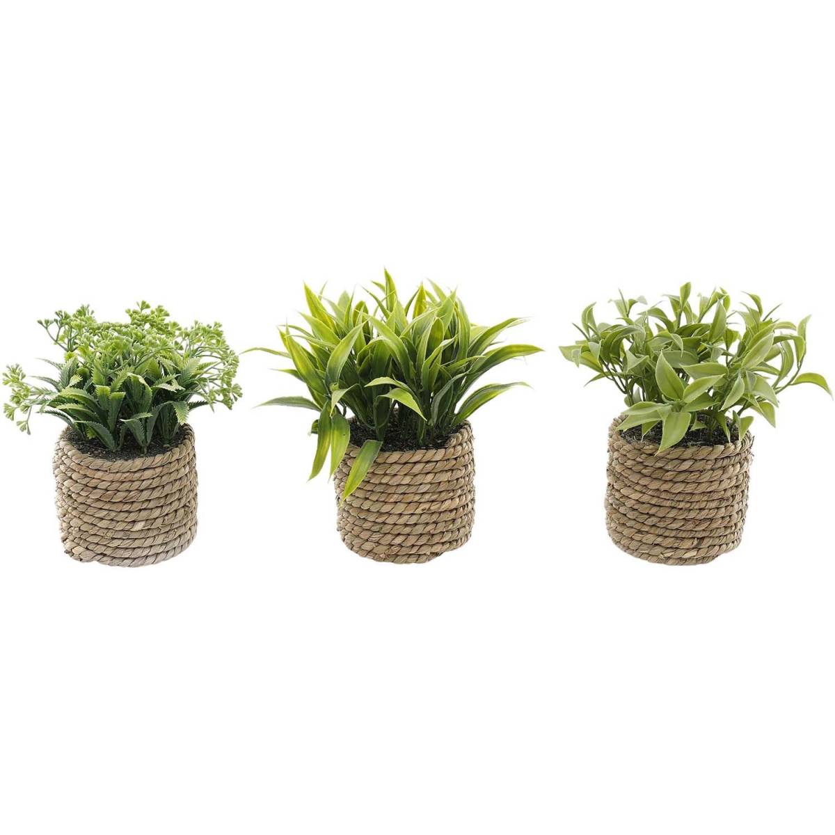 Sil - Plante artificielle avec pot tressé (Lot de 3) - Image 1