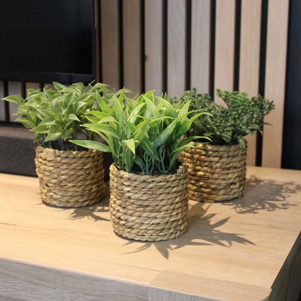 Sil - Plante artificielle avec pot tressé (Lot de 3) - Image 3