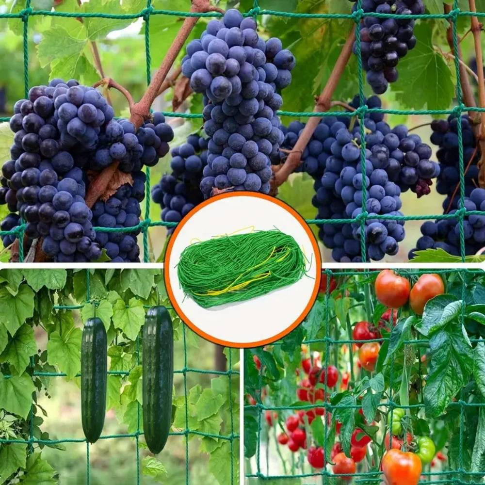 Filet pour plantes grimpantes avec 1,8 m x 3,6 m MCBOSON - Image 8