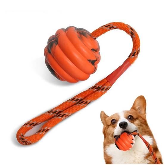 Lytech - Jouets de tir à la corde solides pour chiens boule orange fun - Lytech - Image 1