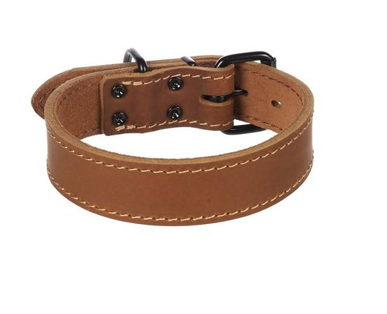 Eden - Collier Chien Montana en cuir marron L 45-55cm 40mm - Image 1