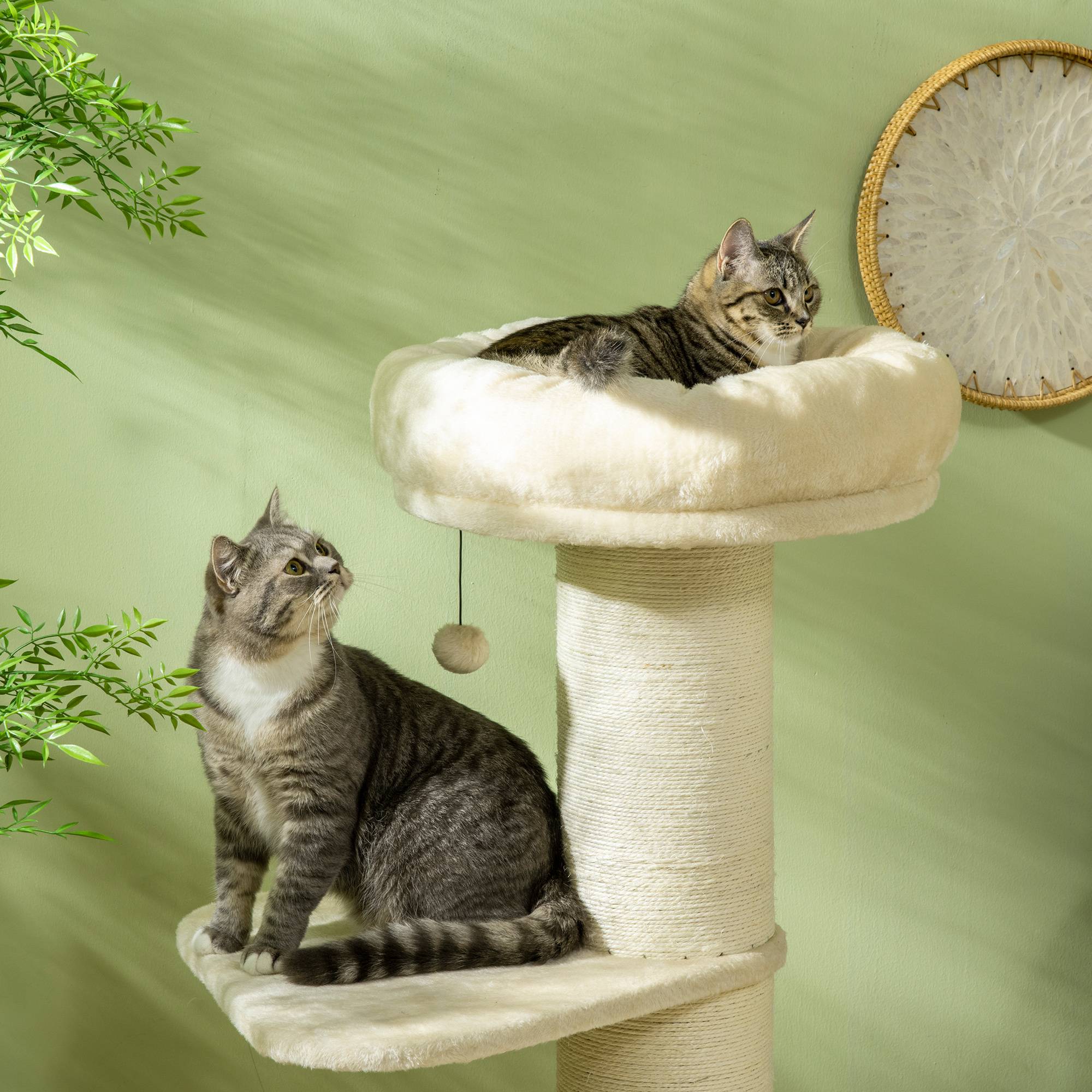 Arbre à chat sisal et peluche beige 48.5 x 48.5 x 105 cm - PANGIVO - Image 9