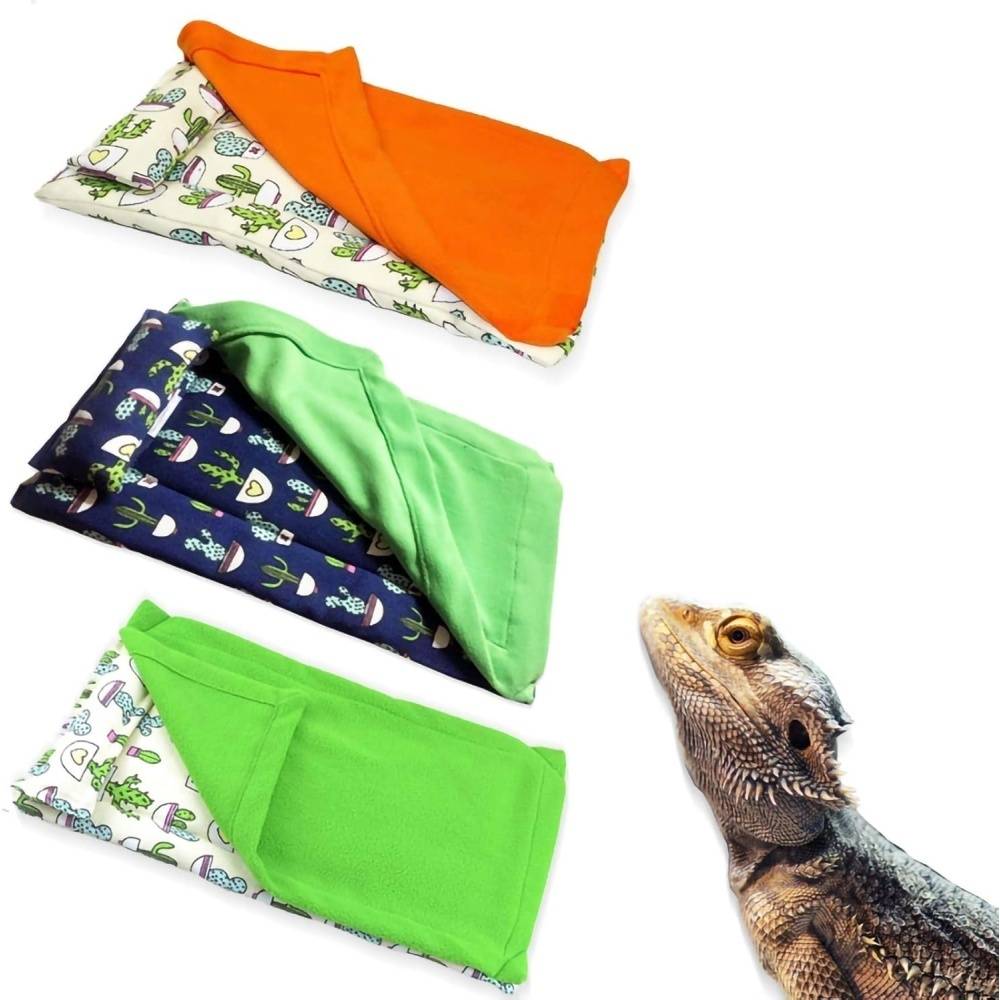 Lit pour dragon barbu DtopbuyAge - Image 3