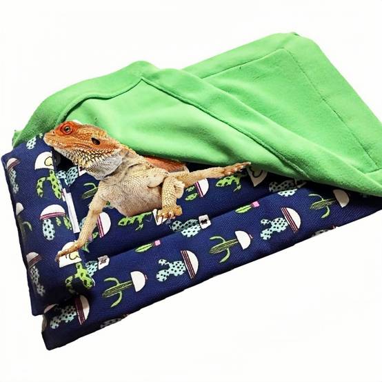 Lit pour dragon barbu DtopbuyAge - Image 1