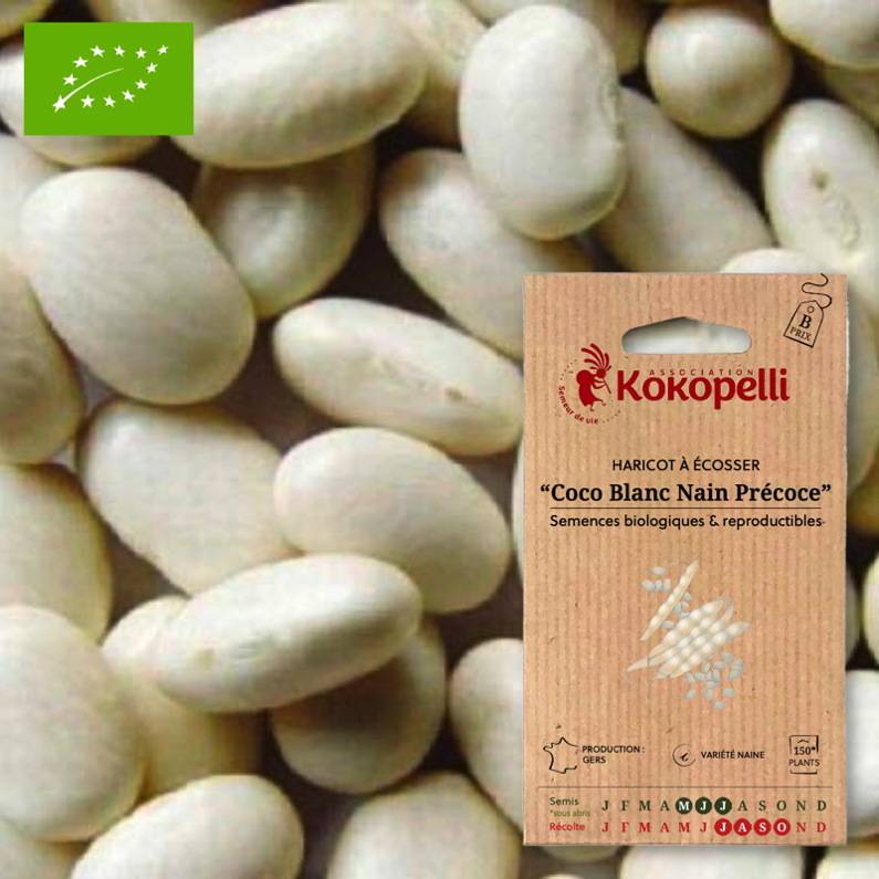 Association Kokopelli - Haricot Coco Blanc- Graines bio à semer - Image 1