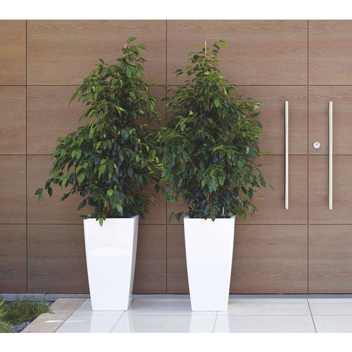 Pot de fleurs carré auto-arrosant Pisa 45 L, plastique blanc brillant, 33 x 33 x 61 cm - Artevasi - Image 3